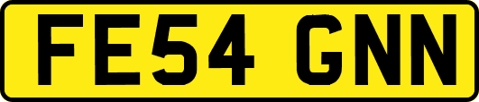 FE54GNN
