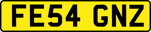 FE54GNZ