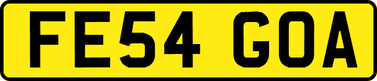 FE54GOA
