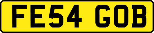 FE54GOB