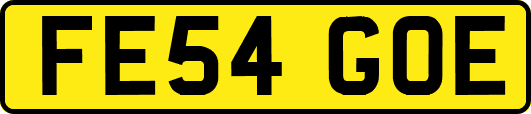 FE54GOE