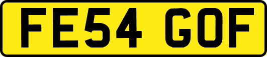 FE54GOF