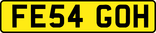 FE54GOH
