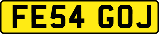 FE54GOJ