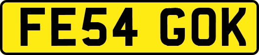 FE54GOK