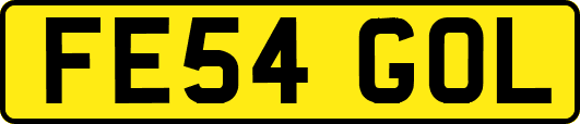 FE54GOL