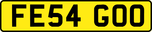 FE54GOO