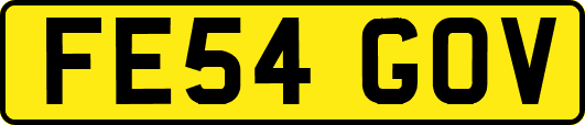 FE54GOV