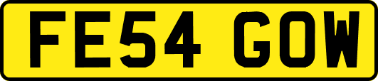 FE54GOW
