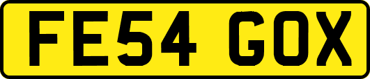 FE54GOX