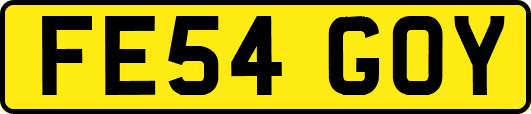 FE54GOY