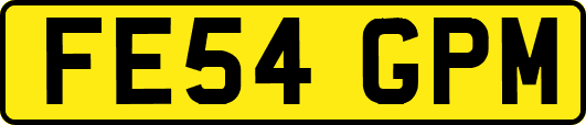 FE54GPM