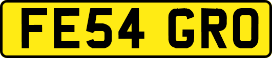 FE54GRO