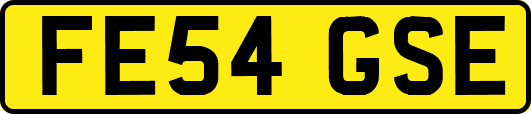 FE54GSE