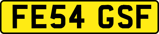 FE54GSF