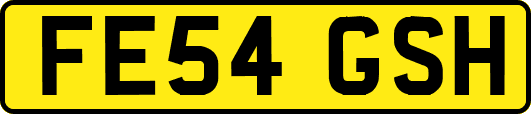 FE54GSH
