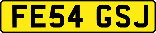 FE54GSJ