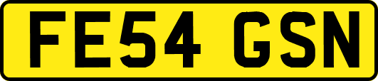 FE54GSN