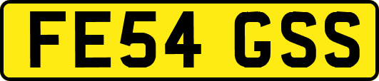 FE54GSS