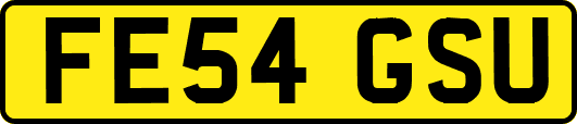 FE54GSU