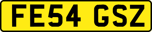 FE54GSZ