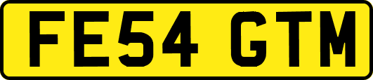 FE54GTM