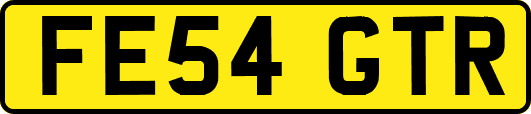 FE54GTR