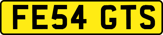 FE54GTS