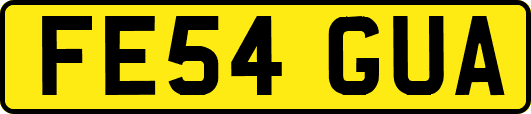 FE54GUA