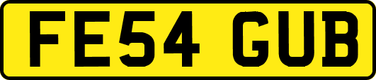 FE54GUB