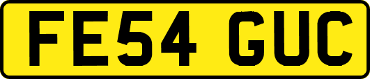 FE54GUC