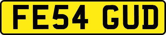 FE54GUD