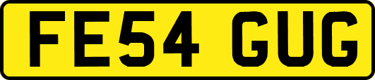 FE54GUG