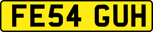 FE54GUH