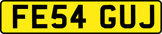 FE54GUJ