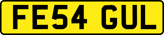 FE54GUL