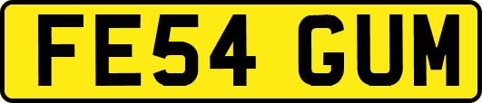 FE54GUM