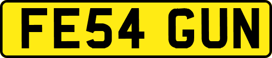 FE54GUN