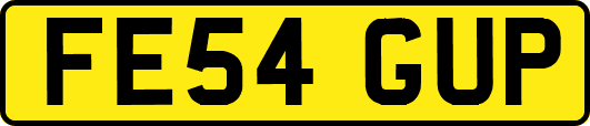 FE54GUP