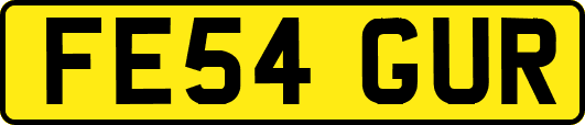 FE54GUR