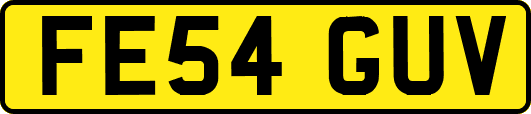 FE54GUV