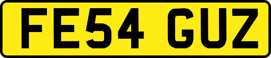 FE54GUZ