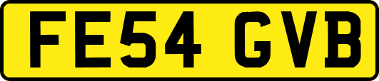 FE54GVB