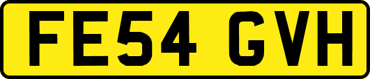 FE54GVH
