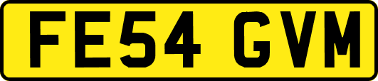 FE54GVM
