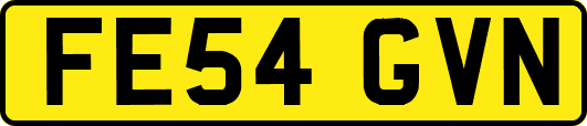FE54GVN