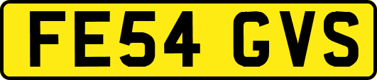 FE54GVS