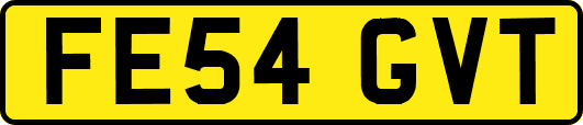 FE54GVT