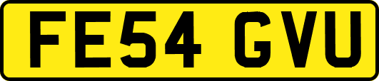FE54GVU