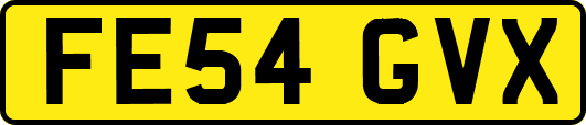 FE54GVX